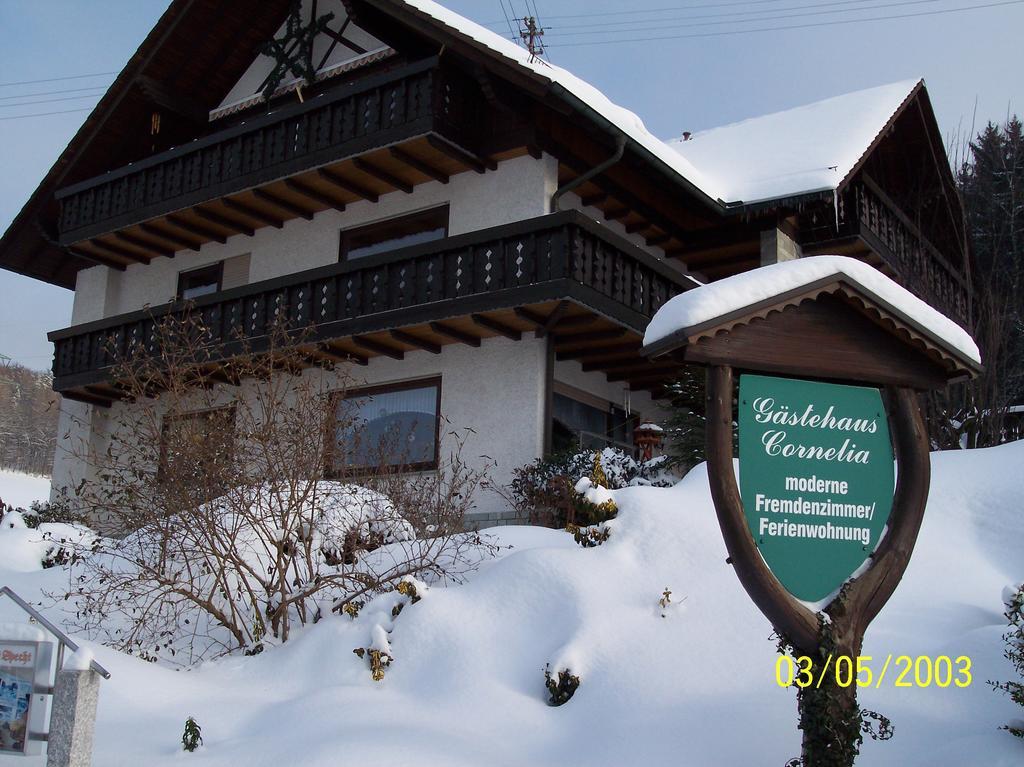 Wildensee Gaestehaus Cornelia מראה חיצוני תמונה
