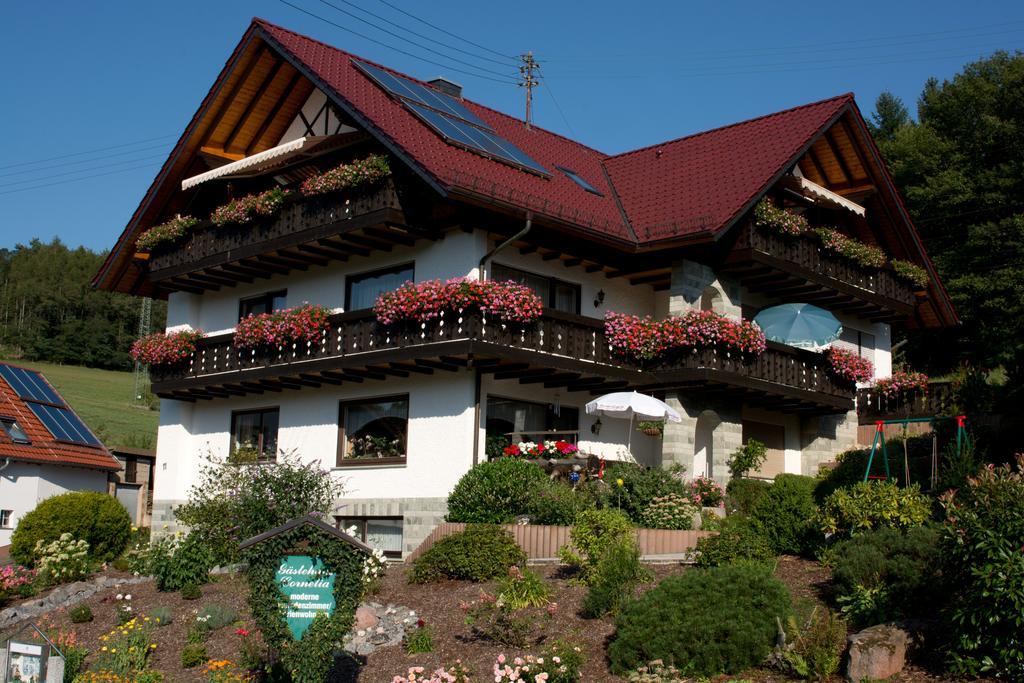 Wildensee Gaestehaus Cornelia מראה חיצוני תמונה